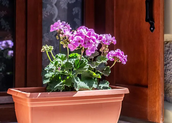 Portou 52 Casa Διαμέρισμα Χανιά